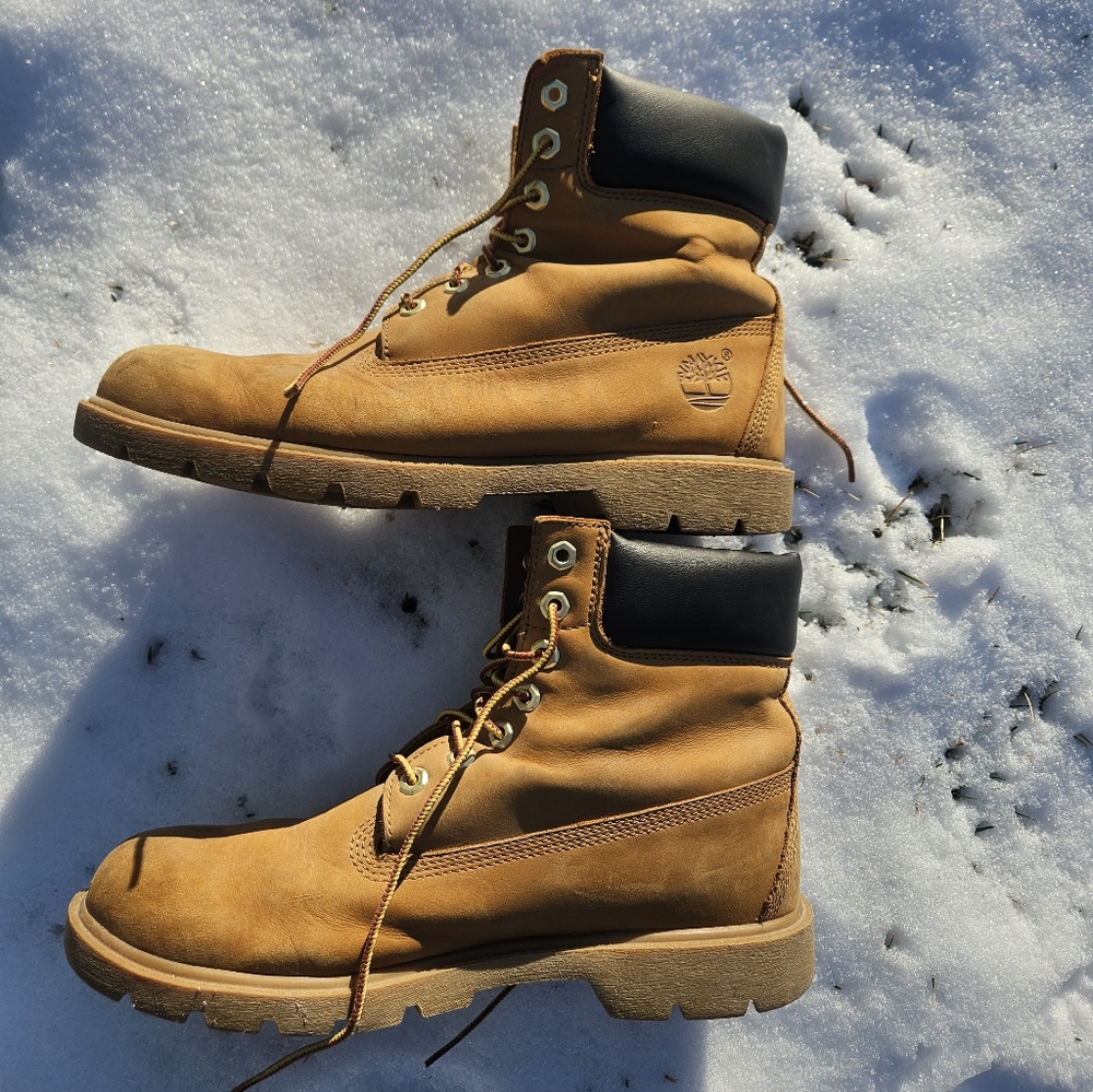 Timberland Men's 6" Padded Collar Boot 